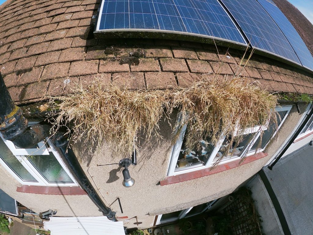 gutters need clearing