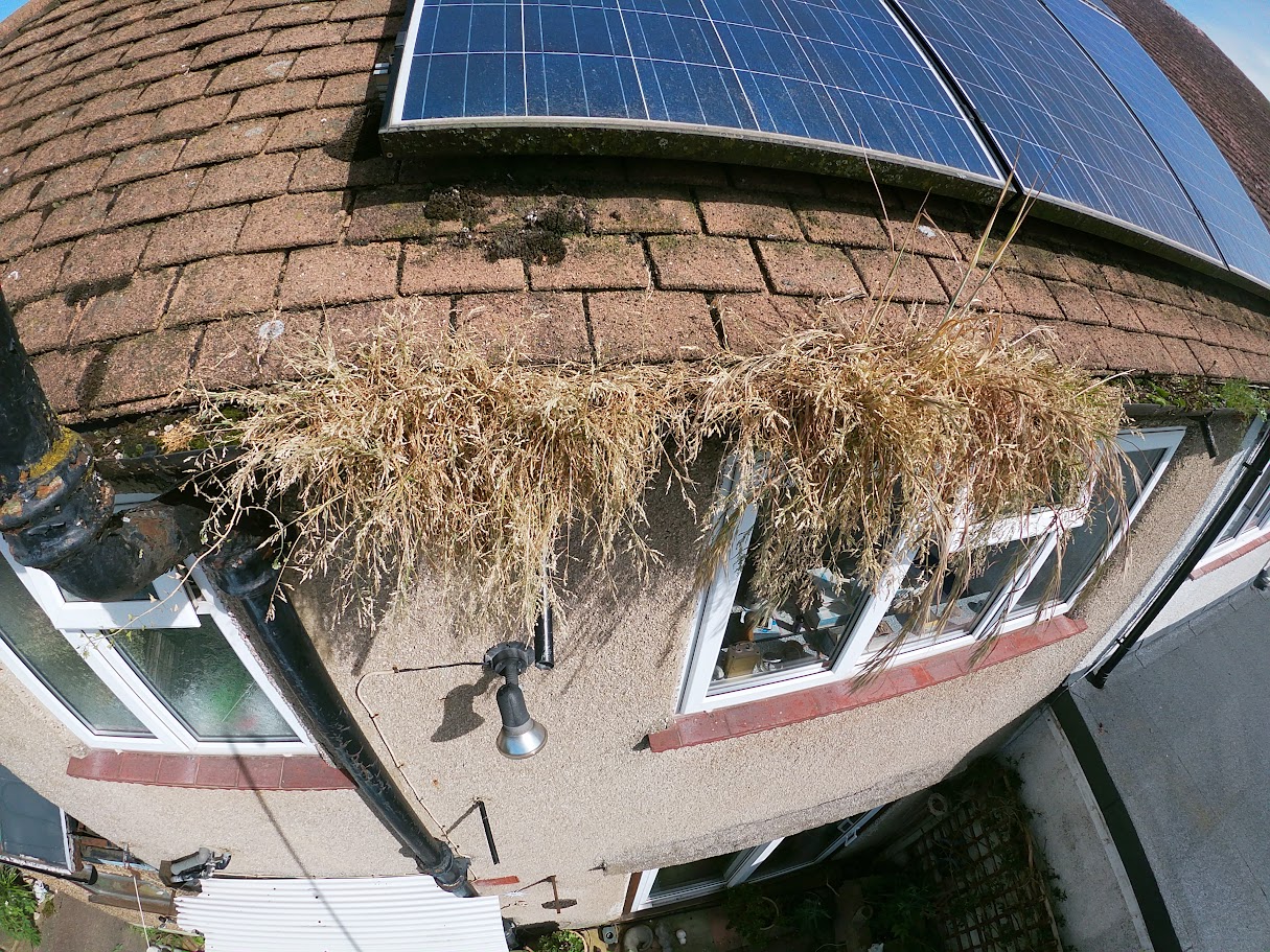gutters need clearing