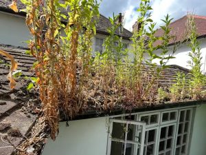 gutters need clearing