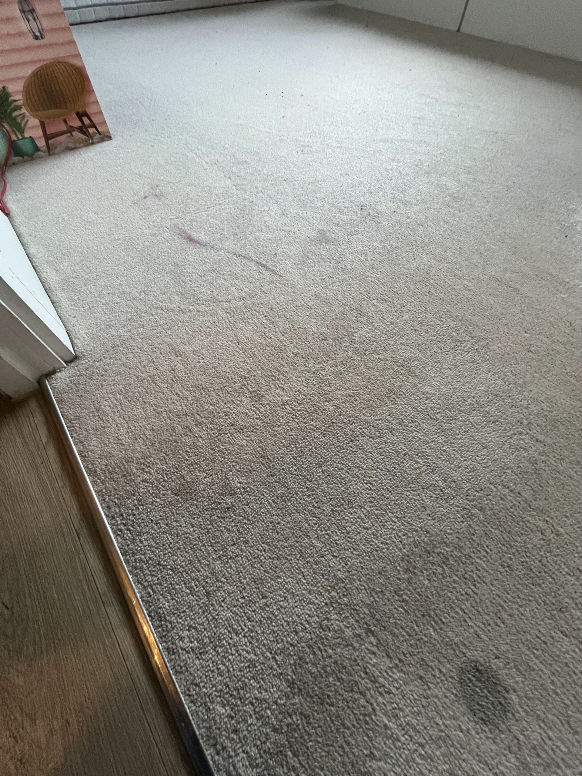 How can professional carpet cleaning transform your home?