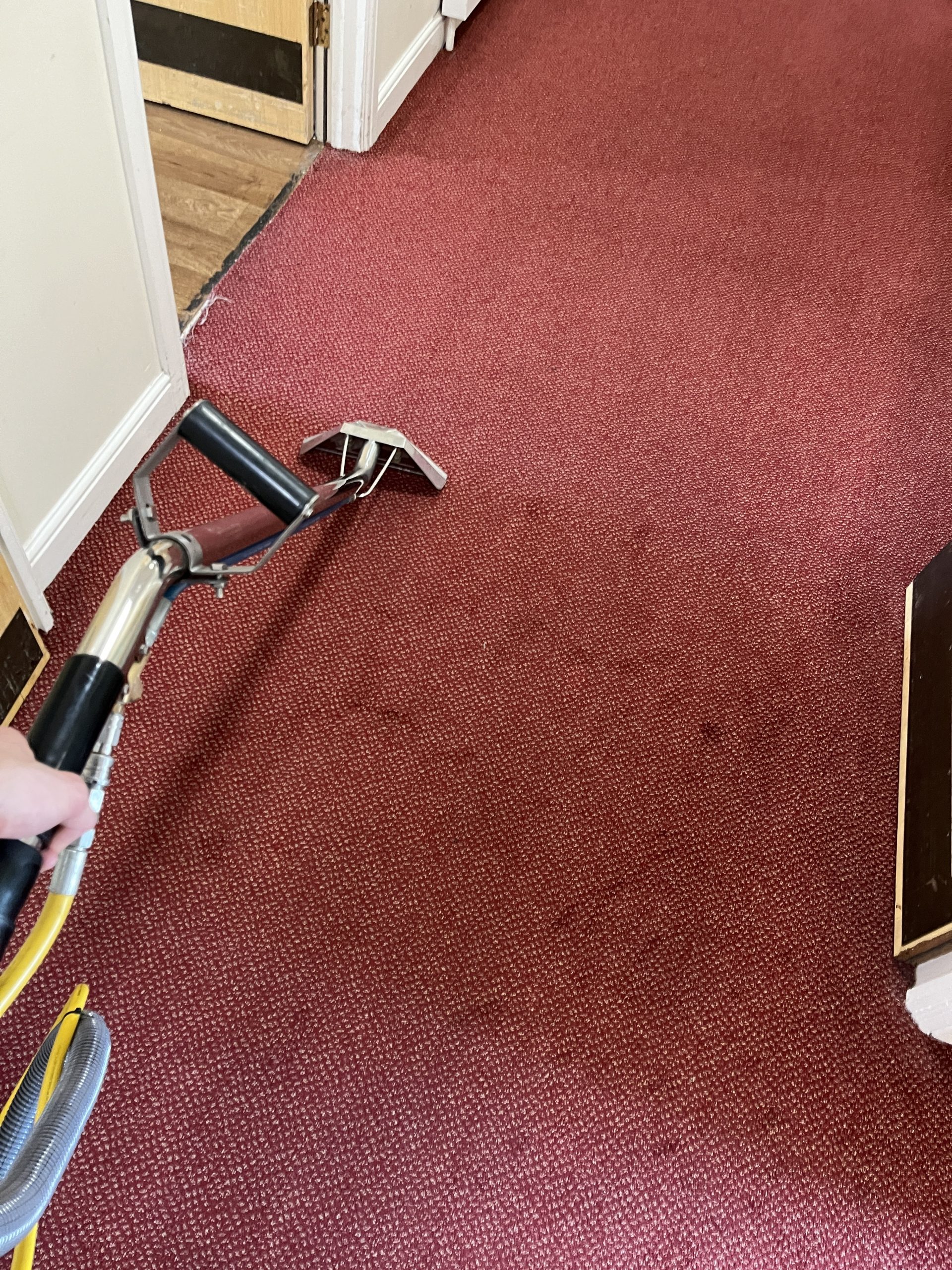 Is professional carpet cleaning worth the investment?
