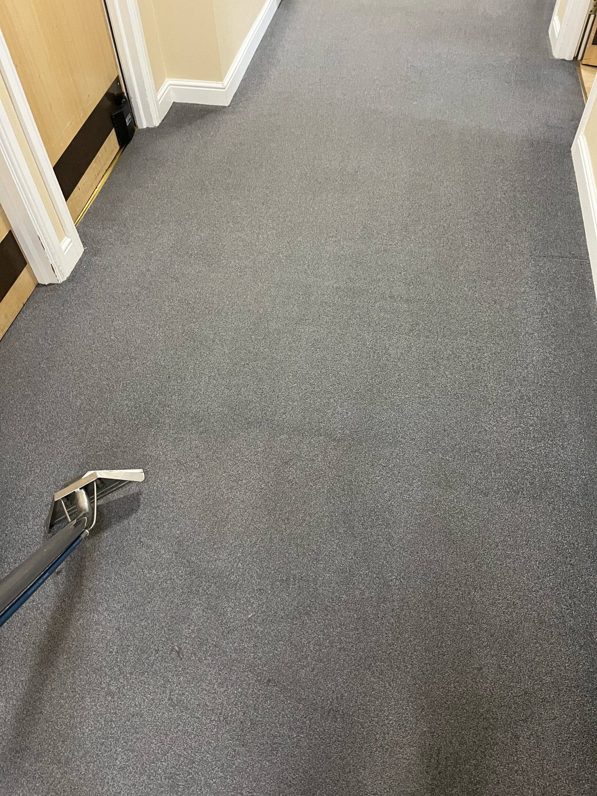 What are the benefits of eco-friendly carpet cleaning?