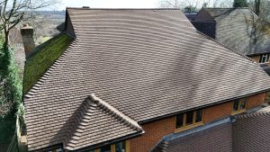 roof moss