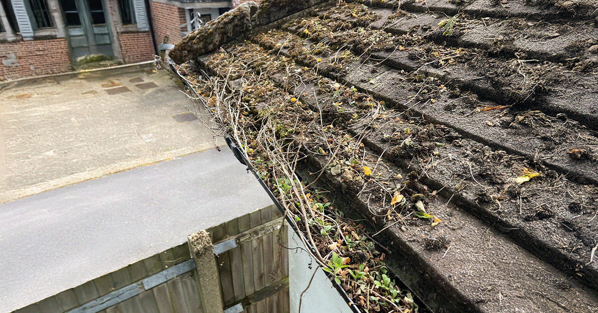 Clean Gutters