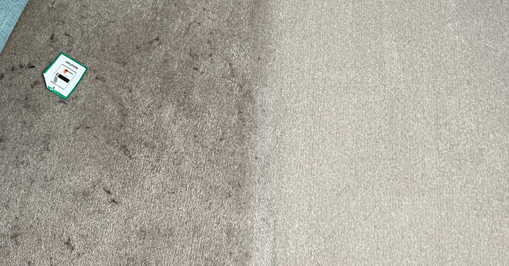 Professional Cleaning