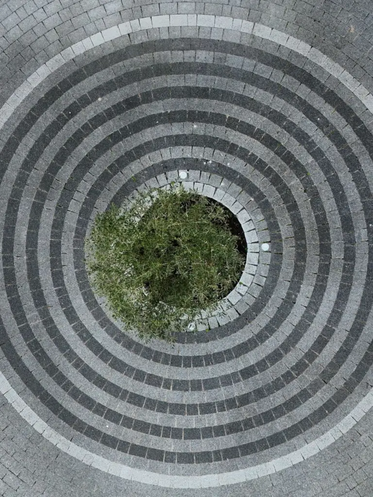 Before-Final (1) Before-Final (1)